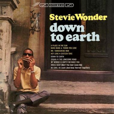 Stevie Wonder -  Down to Earth